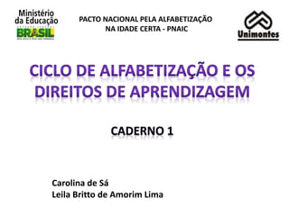 Carolina de Sá
Leila Britto de Amorim Lima
PACTO NACIONAL PELA ALFABETIZAÇÃO
NA IDADE CERTA - PNAIC
 