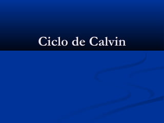 Ciclo de CalvinCiclo de Calvin
 