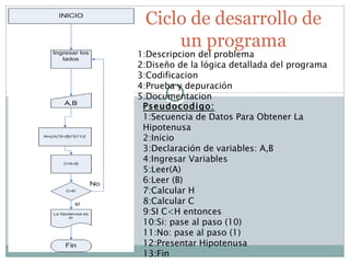 Ciclo de desarrollo de un programa 1:Descripcion del problema 2:Diseño de la lógica detallada del programa 3:Codificacion 4:Prueba y depuración 5:Documentacion Pseudocodigo: 1:Secuencia de Datos Para Obtener La Hipotenusa 2:Inicio 3:Declaración de variables: A,B 4:Ingresar Variables 5:Leer(A) 6:Leer (B) 7:Calcular H 8:Calcular C 9:SI C<H entonces 10:Si: pase al paso (10) 11:No: pase al paso (1) 12:Presentar Hipotenusa 13:Fin 