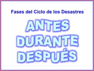 Fases del Ciclo de los Desastres
 