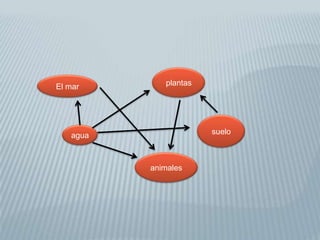 El mar       plantas




   agua                suelo



          animales
 
