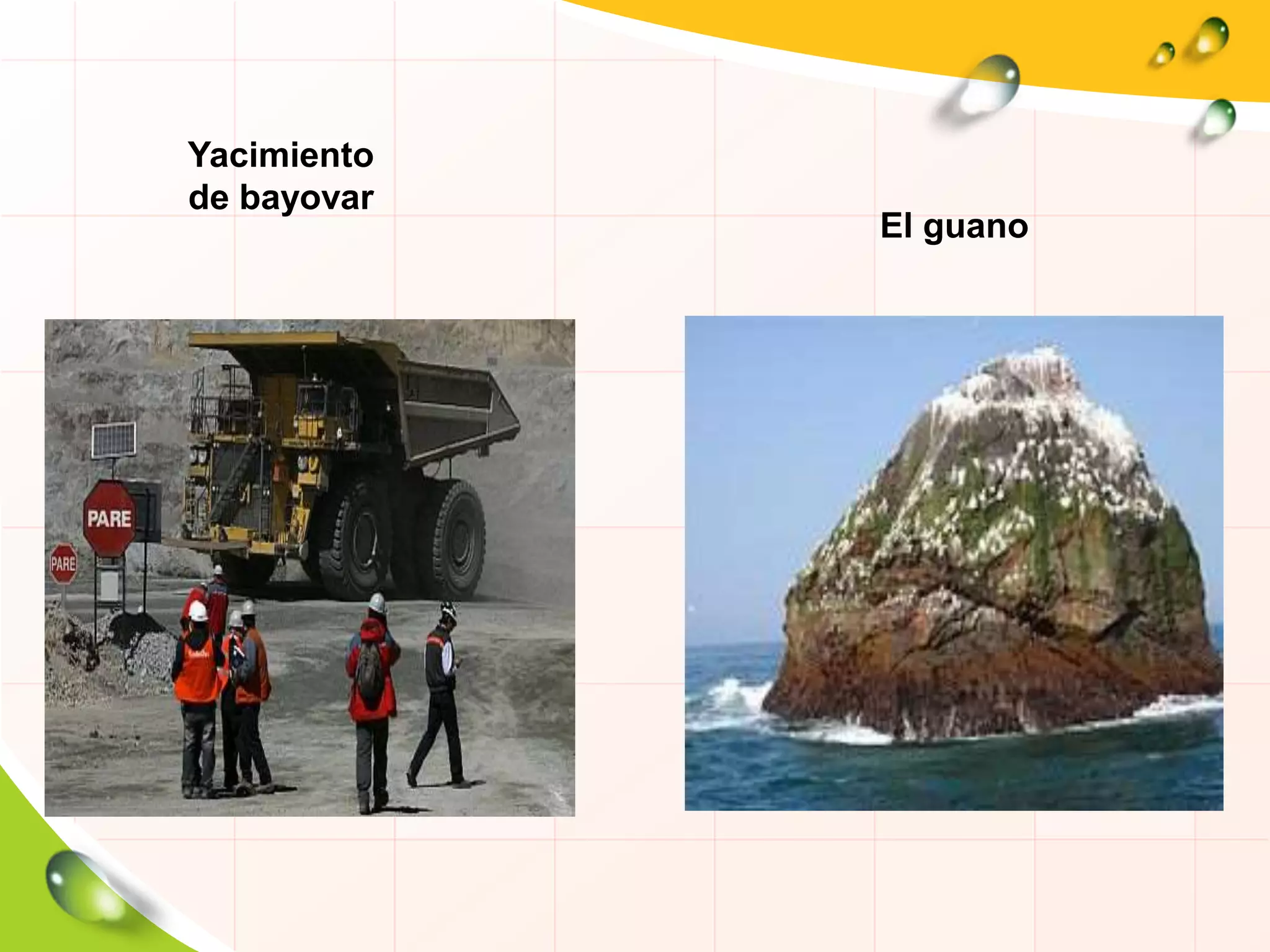 Yacimiento
de bayovar
El guano
 