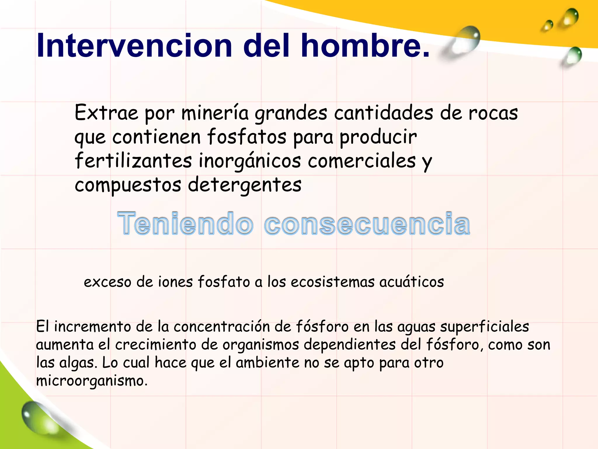 Intervencion del hombre.
Extrae por minería grandes cantidades de rocas
que contienen fosfatos para producir
fertilizantes inorgánicos comerciales y
compuestos detergentes
exceso de iones fosfato a los ecosistemas acuáticos
El incremento de la concentración de fósforo en las aguas superficiales
aumenta el crecimiento de organismos dependientes del fósforo, como son
las algas. Lo cual hace que el ambiente no se apto para otro
microorganismo.
 