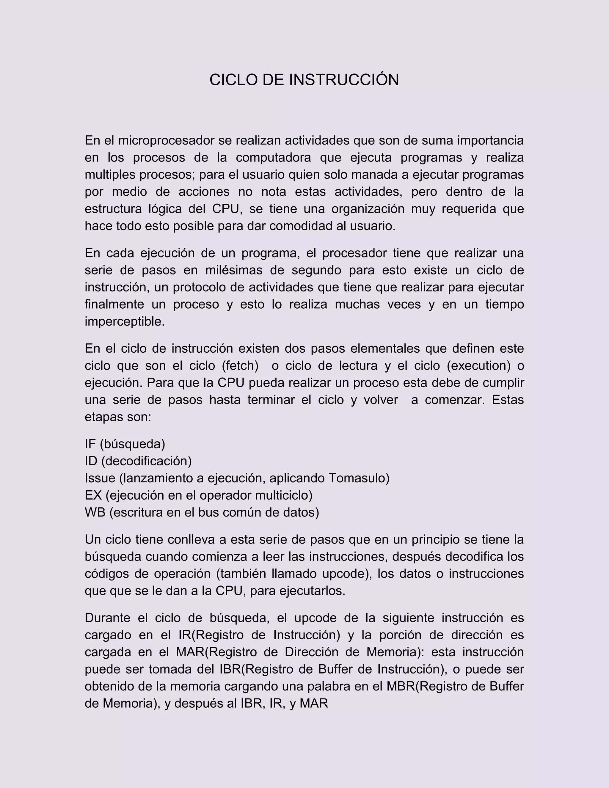 Ciclo de instruccion PDF