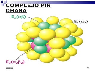 COMPLEJO PIR DHASA 6/22/2008 