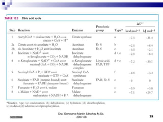 Dra. Genoveva Martín Sánchez M.Sc.  2007-08 6/22/2008 