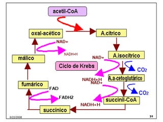 Dra. Genoveva Martín Sánchez M.Sc.  2007-08 6/22/2008 