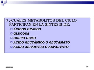 ¿CUÁLES METABOLITOS DEL CICLO PARTICIPAN EN LA SÍNTESIS DE: ÁCIDOS GRASOS GLUCOSA GRUPO HEMO ÁCIDO GLUTÁMICO O GLUTAMATO  ÁCIDO ASPÁRTICO O ASPARTATO 6/22/2008 
