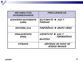 6/22/2008 METABOLITOS INTERMEDIARIOS PRECURSOR DE ALFACETO-GLUTARATO (  KG) GLUTAMATO    AAS Y PURINAS SUCCINIL-CoA PORFIRÍNAS    GRUPO HEMO OXALACETATO (OAA) ASPARTATO    AAS Y  PIRIMIDÍNAS GLUCOSA CITRATO SÍNTESIS DE NOVO DE ÁCIDOS GRASOS 