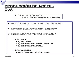 PRODUCCIÓN DE ACETIL-CoA PRINCIPAL PRODUCTOR: GLUCOSA    PIRUVATO    ACETIL-CoA LOCALIZACIÓN CELULAR:  MATRIZ MITOCONDRIAL REACCIÓN:  DESCARBOXILACIÓN OXIDATIVA ENZIMA:  COMPLEJO PIRUVATO DHASA (PDH) 3 ENZIMAS: E 1 - PIR DHASA E 2 - DIHIDROLIPOIL TRANSACETILASA E 3 - DIHIDROLIPOIL DHASA 5 COFACTORES:  PPT – LIPOATO – CoA – FAD – NAD + 6/22/2008 
