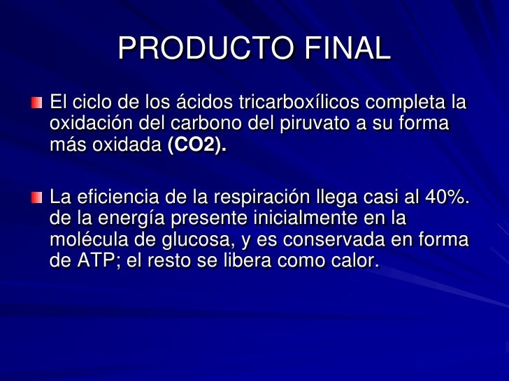 Ciclo de krebs