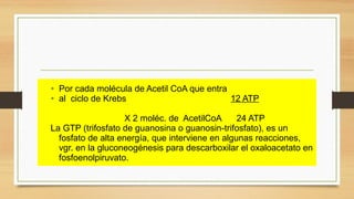 • Por cada molécula de Acetil CoA que entra
• al ciclo de Krebs 12 ATP
X 2 moléc. de AcetilCoA 24 ATP
La GTP (trifosfato de guanosina o guanosin-trifosfato), es un
fosfato de alta energía, que interviene en algunas reacciones,
vgr. en la gluconeogénesis para descarboxilar el oxaloacetato en
fosfoenolpiruvato.
 