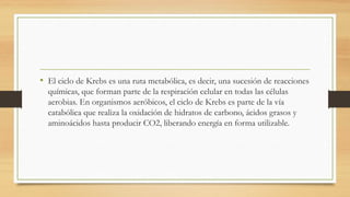 • El ciclo de Krebs es una ruta metabólica, es decir, una sucesión de reacciones
químicas, que forman parte de la respiración celular en todas las células
aerobias. En organismos aeróbicos, el ciclo de Krebs es parte de la vía
catabólica que realiza la oxidación de hidratos de carbono, ácidos grasos y
aminoácidos hasta producir CO2, liberando energía en forma utilizable.
 