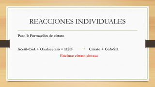REACCIONES INDIVIDUALES
Paso 1: Formación de citrato
Acetil-CoA + Oxalacetato + H2O Citrato + CoA-SH
Enzima: citrato sintasa
 