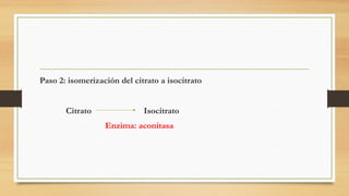 Paso 2: isomerización del citrato a isocitrato
Citrato Isocitrato
Enzima: aconitasa
 