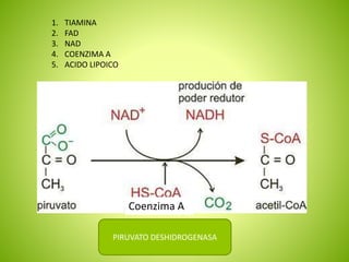 PIRUVATO DESHIDROGENASA
1. TIAMINA
2. FAD
3. NAD
4. COENZIMA A
5. ACIDO LIPOICO
Coenzima A
 