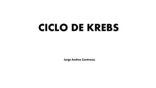 CICLO DE KREBS
Jorge Andres Contreras
 