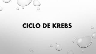 CICLO DE KREBS
 