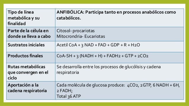 Bioquímica básica