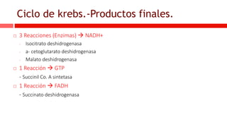 Ciclo de krebs.-Productos finales.
 3 Reacciones (Enzimas)  NADH+
- Isocitrato deshidrogenasa
- a- cetoglutarato deshidrogenasa
- Malato deshidrogenasa
 1 Reacción  GTP
- Succinil Co. A sintetasa
 1 Reacción  FADH
- Succinato deshidrogenasa
 
