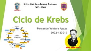 Ciclo de Krebs
Fernando Ventura Apaza
2022-123019
Universidad Jorge Basadre Grohmann
FACS - ESMH
Hans Adolf Krebs
 