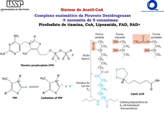 Síntese de Acetil-CoA
-Complexo enzimático da Piruvato Desidrogenase
 necessita de 5 coenzimas:
Pirofosfato de tiamina, CoA, Lipoamida, FAD, NAD+
 