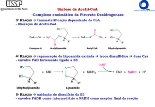 Síntese de Acetil-CoA
-Complexo enzimático da Piruvato Desidrogenase
3º REAÇÃO  transesterificação dependente de CoA
- liberação de Acetil-CoA
4º REAÇÃO  regeneração da Lipoamida oxidada  troca dissulfídica  duas Cys
- envolve FAD fortemente ligado a E3
5º REAÇÃO  oxidação do dissulfeto da E3
- envolve FADH como intermediário e NADH como aceptor final da reação
 