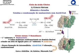 Citrato sintase  Homodímero
• 1 º substrato  Oxaloacetato
 induz mudanças conformacionais no domínio flexível
criando um sítio de ligação para o 2 º substrato  acetil-CoA
• Ocorre formação do intermediário: citroil-CoA  alteração
conformacional
•Leva a hidrólise do tioéster, liberando CoA
Ciclo do ácido Cítrico
1) CITRATO SINTASE
Alimenta a fornalha
Catalisa a condensação de oxaloacetato com Acetil-CoA
 