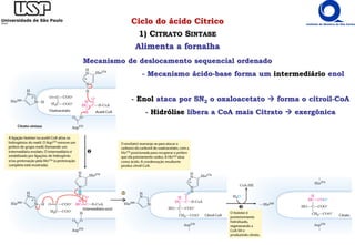 Ciclo do ácido Cítrico
1) CITRATO SINTASE
Alimenta a fornalha
- Enol ataca por SN2 o oxaloacetato  forma o citroil-CoA
- Hidrólise libera a CoA mais Citrato  exergônica
Mecanismo de deslocamento sequencial ordenado
- Mecanismo ácido-base forma um intermediário enol
 