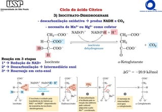 Ciclo do ácido Cítrico
3) ISOCITRATO-DESIDROGENASE
- descarboxilação oxidativa  produz NADH e CO2
- necessita de Mn2+ ou Mg2+ como cofator
Reação em 3 etapas
1º  Redução de NAD+
2º  Descarboxilação  Intermediário enol
3o  Rearranjo em ceto-enol
 