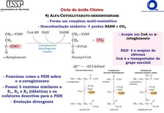 Ciclo do ácido Cítrico
4) ALFA-CETOGLUTARATO-DESIDROGENASE
- Forma um complexo multi-enzimático
- Descarboxilação oxidativa  produz NADH e CO2
- Acopla um CoA ao α-
cetoglutarato
NAD+ é o aceptor de
elétrons
CoA é o transportador do
grupo succinil
- Funciona como a PDH sobre
o α-cetoglutarato
- Possui 3 enzimas similares a
E1, E2 e E3 (idêntica) e os
cofatores descritos para a PDH
- Evolução divergente
 
