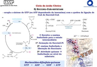 Ciclo do ácido Cítrico
5) SUCCINIL-COA-SINTETASE
- acopla a síntese de GTP (ou ATP dependendo da isoenzima) com a quebra da ligação de
CoA do Succinil-CoA
 Envolve a enzima
fosforilada para o estado
intermediário
1º: formação do Succinil-Pi
2º: enzima fosforilada e
liberação do Succinato
3º: Atividade quinase 
fosforilação ao nível do
substrato
Nucleosídeo-difosfato-quinase
GTP + ADP → GDP + ATP
 