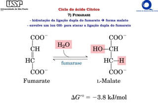 Ciclo do ácido Cítrico
7) FUMARASE
- hidratação da ligação dupla do fumarato  forma malato
- envolve um íon OH- para atacar a ligação dupla do fumarato
 