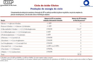 Ciclo do ácido Cítrico
Produção de energia do ciclo
 