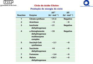Ciclo do ácido Cítrico
Produção de energia do ciclo
 