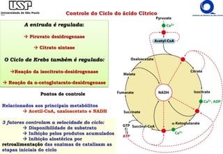Controle do Ciclo do ácido Cítrico
A entrada é regulada:
 Piruvato desidrogenase
 Citrato sintase
O Ciclo de Krebs também é regulado:
Reação da isocitrato-desidrogenase
 Reação da α-cetoglutarato-desidrogenase
Pontos de controle
Relacionados aos principais metabólitos
 Acetil-CoA, oxaloacetato e NADH
3 fatores controlam a velocidade do ciclo:
 Disponibilidade de substrato
 Inibição pelos produtos acumulados
 Inibição alostérica por
retroalimentação das enzimas de catalisam as
etapas iniciais do ciclo
 