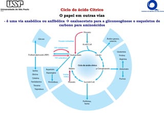 Ciclo do ácido Cítrico
O papel em outras vias
- é uma via anabólica ou anfibólica  oxaloacetato para a gliconeogênese e esqueletos de
carbono para aminoácidos
 