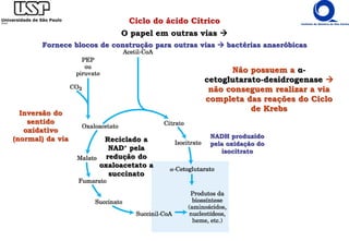 Ciclo do ácido Cítrico
O papel em outras vias 
Fornece blocos de construção para outras vias  bactérias anaeróbicas
Não possuem a α-
cetoglutarato-desidrogenase 
não conseguem realizar a via
completa das reações do Ciclo
de Krebs
Inversão do
sentido
oxidativo
(normal) da via NADH produzido
pela oxidação do
isocitrato
Reciclado a
NAD+ pela
redução do
oxaloacetato a
succinato
 