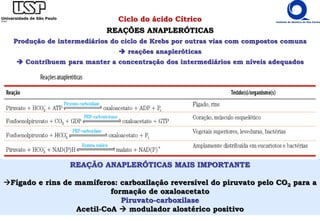Ciclo do ácido Cítrico
REAÇÕES ANAPLERÓTICAS
Produção de intermediários do ciclo de Krebs por outras vias com compostos comuns
 reações anapleróticas
 Contribuem para manter a concentração dos intermediários em níveis adequados
REAÇÃO ANAPLERÓTICAS MAIS IMPORTANTE
Fígado e rins de mamíferos: carboxilação reversível do piruvato pelo CO2 para a
formação de oxaloacetato
Piruvato-carboxilase
Acetil-CoA  modulador alostérico positivo
 