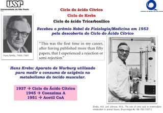 Recebeu o prêmio Nobel de Fisiologia/Medicina em 1953
pela descoberta do Ciclo do Ácido Cítrico
Hans Krebs: Aparato de Warburg utilizado
para medir o consumo de oxigênio no
metabolismo do tecido muscular.
1937  Ciclo do Ácido Cítrico
1945  Coenzima A
1951  Acetil CoA
Ciclo do ácido Cítrico
Ciclo de Krebs
Ciclo do ácido Tricarboxílico
 