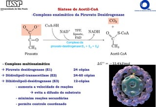 Síntese de Acetil-CoA
-Complexo enzimático da Piruvato Desidrogenase
- Complexo multienzimático
 Piruvato desidrogenase (E1) 24 cópias
 Diidrolipoil-transacetilase (E2) 24-60 cópias
 Dihidrolipoil-desidrogenase (E3) 12-cópias
- aumenta a velocidade de reações
 evita a difusão do substrato
- minimiza reações secundárias
- permite controle coordenado
 