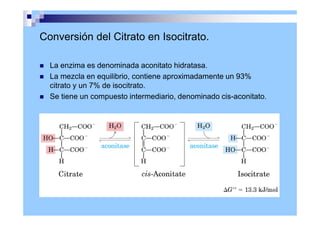 Conversión del Citrato en Isocitrato.
 La enzima es denominada aconitato hidratasa.
 La mezcla en equilibrio, contiene aproximadamente un 93%
citrato y un 7% de isocitrato.
 Se tiene un compuesto intermediario, denominado cis-aconitato.
 