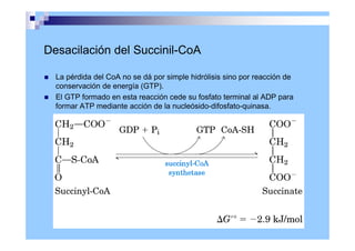 Desacilación del Succinil-CoA
 La pérdida del CoA no se dá por simple hidrólisis sino por reacción de
conservación de energía (GTP).
 El GTP formado en esta reacción cede su fosfato terminal al ADP para
formar ATP mediante acción de la nucleósido-difosfato-quinasa.
 