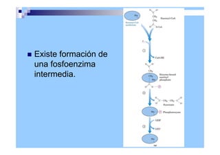 Existe formación de
una fosfoenzima
intermedia.
 