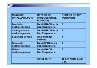 REACCIÓN
CATALIZADA POR:
MÉTODO DE
PRODUCCIÓN DE
FOSFATOS
NÚMERO DE ATP
FORMADOS
Isocitrato
deshidrogenasa
Ox. del NADH en la
Cad.Respiratoria
3
α-cetoglutarato
deshidrogenasa
Ox. del NADH en la
Cad.Respiratoria
3
Succinato tionasa Ox.a nivel del
Sustrato
1
Succinato
deshidrogenasa
Ox. del FADH en la
Cad.Respiratoria
2
Malato
deshidrogenasa
Ox. del NADH
Cad.Respiratoria
3
TOTAL NETO 12 ATP / MOL Acetil
CoA
 