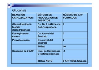Glucólisis
REACCIÓN
CATALIZADA POR:
MÉTODO DE
PRODUCCIÓN DE
FOSFATOS
NÚMERO DE ATP
FORMADOS
Gliceraldehido-3-
fosfato
deshidrogenasa
Ox. De 2 NADH en la
Cad.Respiratoria
6
Fosfoglicerato
cinasa
Ox. A nivel del
Sustrato
2
Piruvato cinasa Ox.a nivel del
Sustrato
2
TOTAL 10
Consumo de 2 ATP Nivel de Hexocinasa
y fosfofructocinasa
-2
TOTAL NETO 8 ATP / MOL Glucosa
 