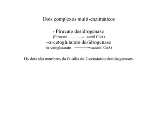 Dois complexos multi-enzimáticos
- Piruvato desidrogenase
(Piruvato acetil CoA)
a-cetoglutarato desidrogenase
(a-cetoglutarato succinil CoA)
Os dois são membros da família de 2-cetoácido desidrogenases
 