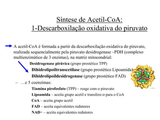 A acetil-CoA é formada a partir da descarboxilação oxidativa do piruvato,
realizada sequencialmente pela piruvato desidrogenase –PDH (complexo
multienzimático de 3 enzimas), na matriz mitocondrial:
Desidrogenase pirúvica (grupo prostético TPP)‫‏‬
Dihidrolipoiltranscetilase (grupo prostético Lipoamida)‫‏‬
Dihidrolipoildesidrogenase (grupo prostético FAD)‫‏‬
– …e 5 coenzimas:
Tiamina pirofosfato (TPP) – reage com o piruvato
Lipoamida – aceita grupo acetil e transfere-o para o CoA
CoA – aceita grupo acetil
FAD – aceita equivalentes redutores
NAD+ – aceita equivalentes redutores
Síntese de Acetil-CoA:
1-Descarboxilação oxidativa do piruvato
 
