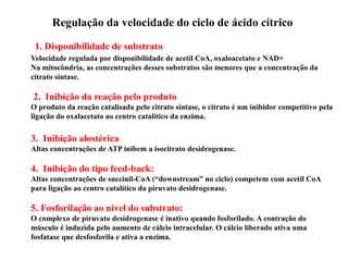Regulação da velocidade do ciclo de ácido cítrico
Velocidade regulada por disponibilidade de acetil CoA, oxaloacetato e NAD+
Na mitocôndria, as concentrações desses substratos são menores que a concentração da
citrato sintase.
2. Inibição da reação pelo produto
O produto da reação catalisada pelo citrato sintase, o citrato é um inibidor competitivo pela
ligação do oxalacetato ao centro catalítico da enzima.
3. Inibição alostérica
Altas concentrações de ATP inibem a isocitrato desidrogenase.
4. Inibição do tipo feed-back:
Altas concentrações de succinil-CoA (“downstream” no ciclo) competem com acetil CoA
para ligação ao centro catalítico da piruvato desidrogenase.
5. Fosforilação ao nivel do substrato:
O complexo de piruvato desidrogenase é inativo quando fosforilado. A contração do
músculo é induzida pelo aumento de cálcio intracelular. O cálcio liberado ativa uma
fosfatase que desfosforila e ativa a enzima.
1. Disponibilidade de substrato
 