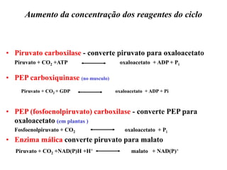 Aumento da concentração dos reagentes do ciclo
• Piruvato carboxilase - converte piruvato para oxaloacetato
Piruvato + CO2 +ATP oxaloacetato + ADP + Pi
• PEP carboxiquinase (no musculo)
Piruvato + CO2 + GDP oxaloacetato + ADP + Pi
• PEP (fosfoenolpiruvato) carboxilase - converte PEP para
oxaloacetato (em plantas )
Fosfoenolpiruvato + CO2 oxaloacetato + Pi
• Enzima málica converte piruvato para malato
Piruvato + CO2 +NAD(P)H +H+ malato + NAD(P)+
 